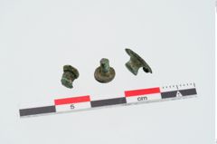 Foto von Bronzeniet (NHMW-PRAE-024922)